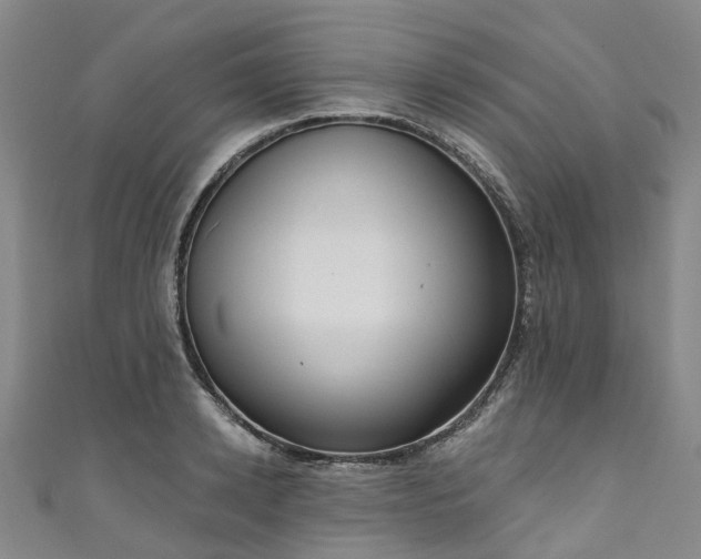 X0000111020942200906261537