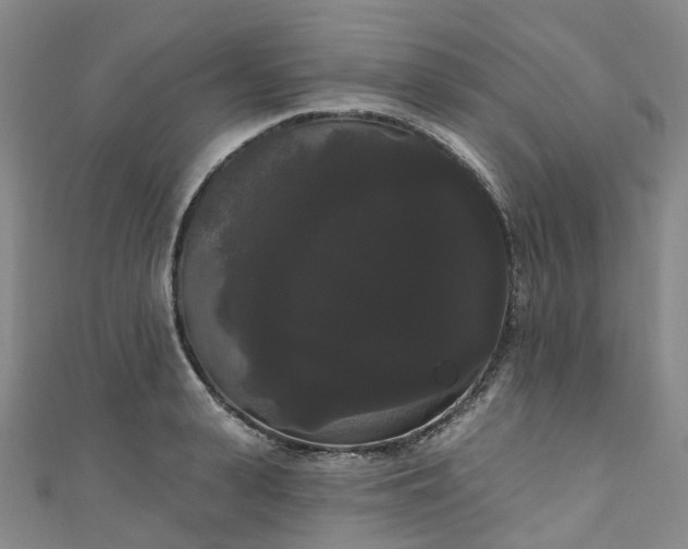 X0000111020943200906261537