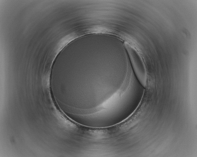 X0000111020946200906261538