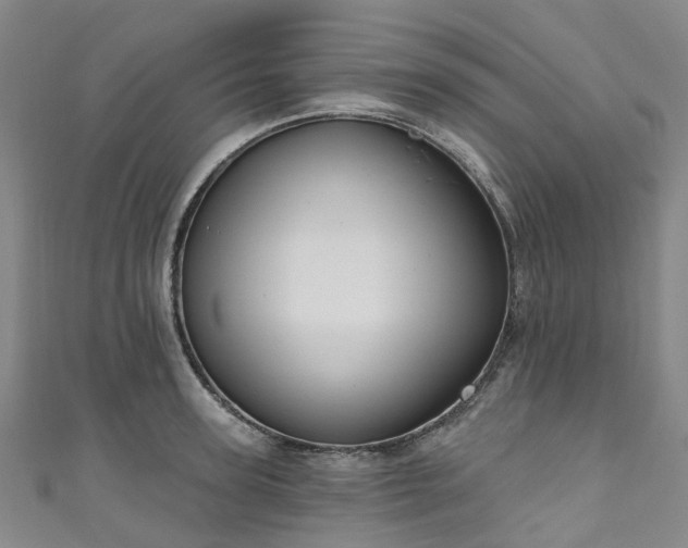 X0000111020947200906261538