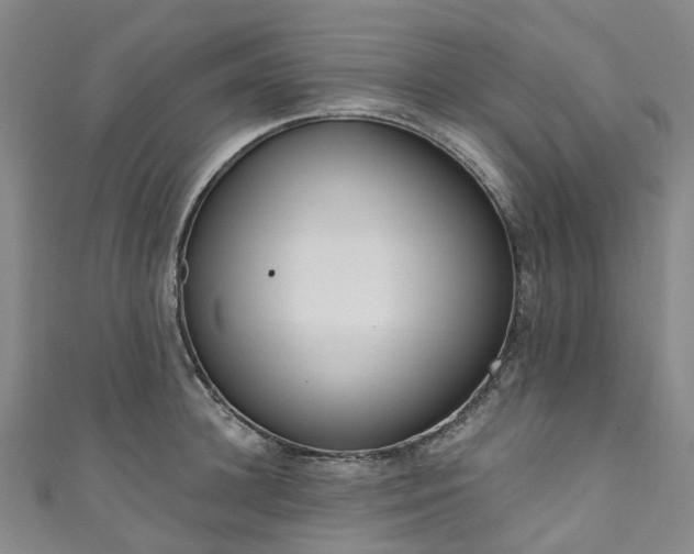 X0000111020948200906261538