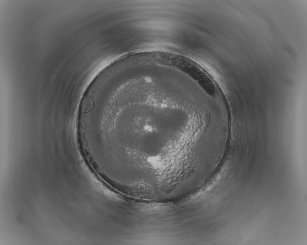 X0000111020949200906261538