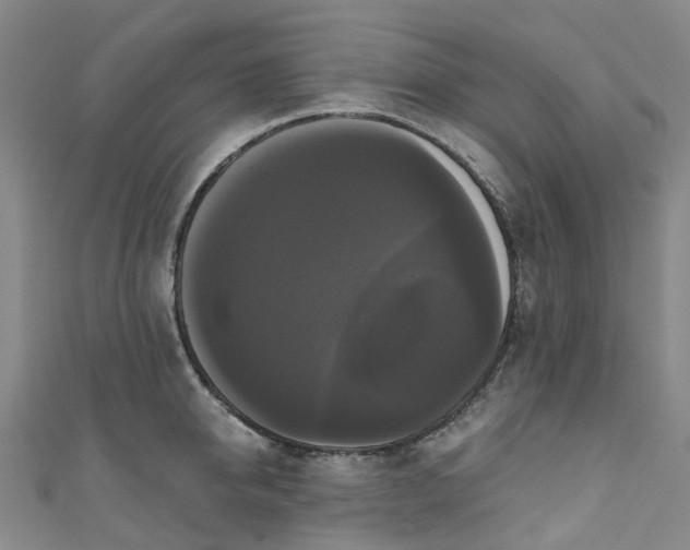 X0000111020950200906261538
