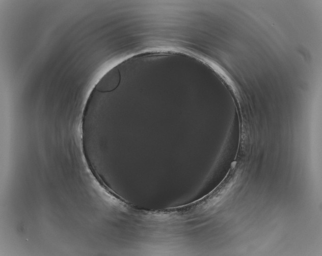 X0000111020951200906261538
