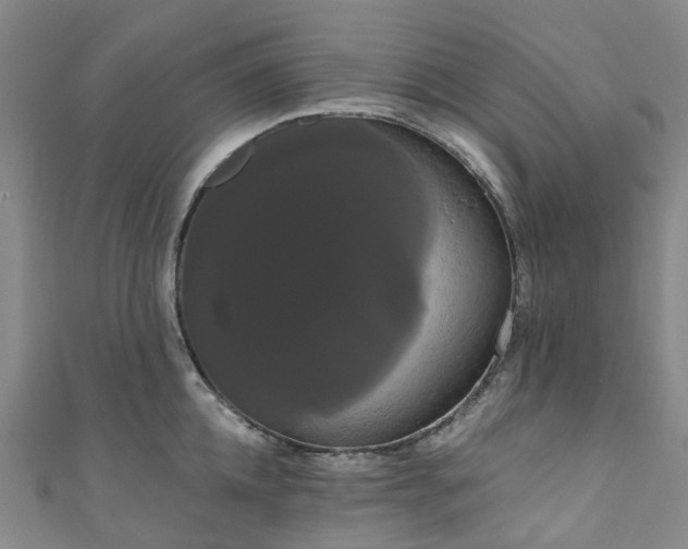 X0000111020952200906261538