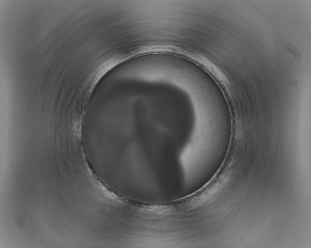 X0000111020953200906261538