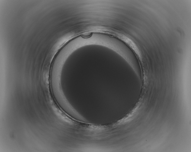 X0000111020954200906261538