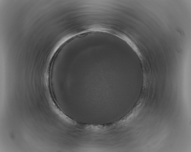 X0000111020955200906261538