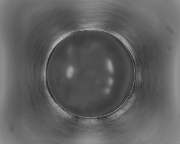 X0000111020957200906261538