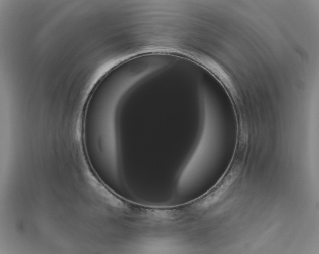 X0000111020958200906261538