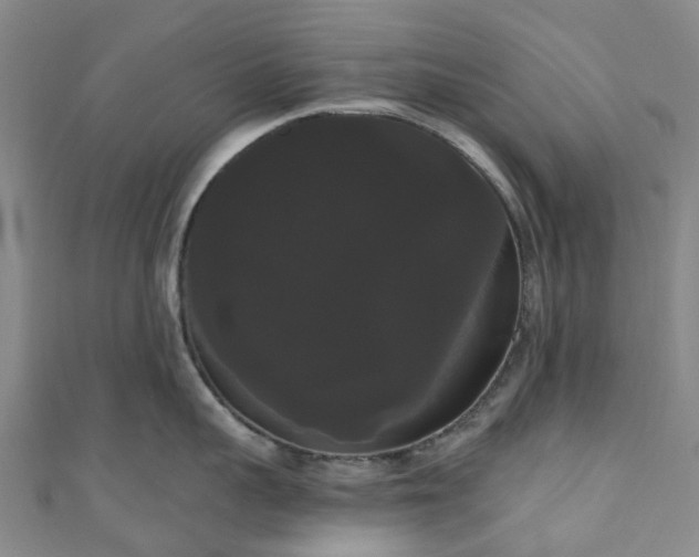 X0000111020959200906261538