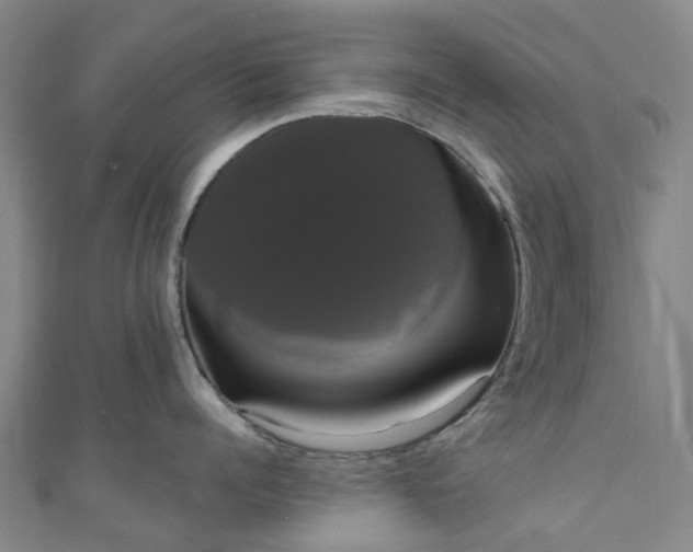 X0000111020960200906261538
