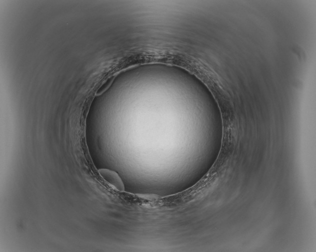 X0000111020961200906261537