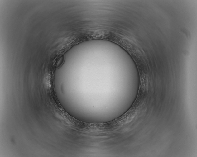 X0000111020962200906261537