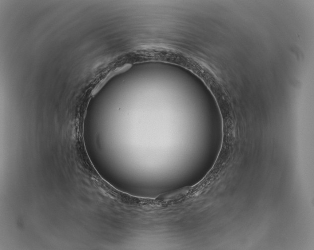 X0000111020965200906261537
