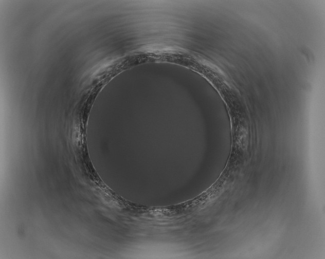 X0000111020966200906261537