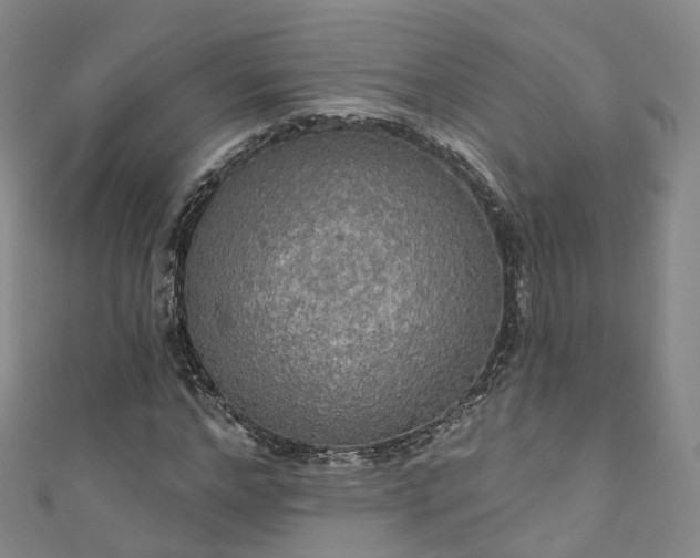 X0000111020968200906261537