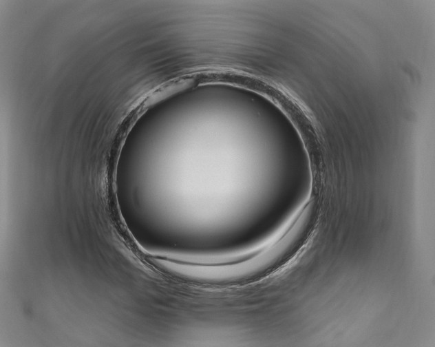 X0000111020969200906261537
