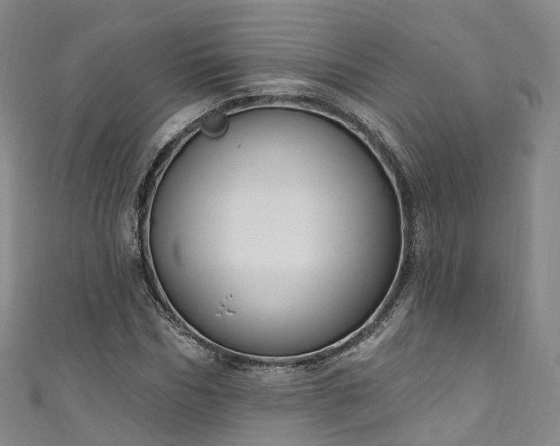 X0000111020970200906261537