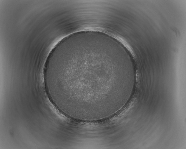 X0000111020972200906261537