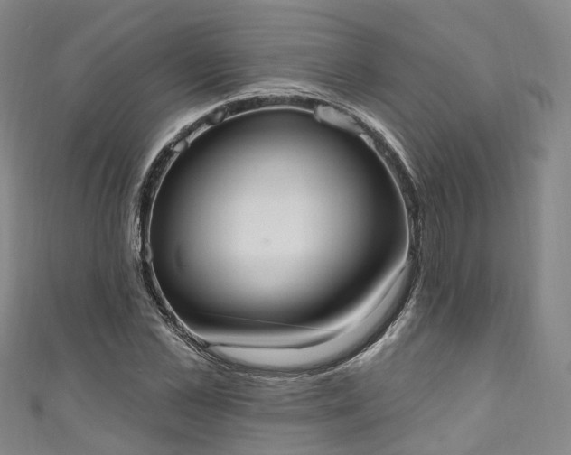 X0000111020973200906261537