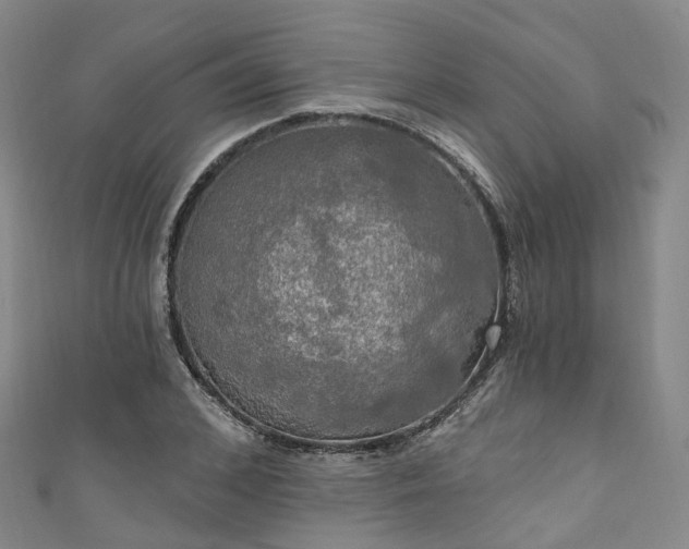 X0000111020976200906261537