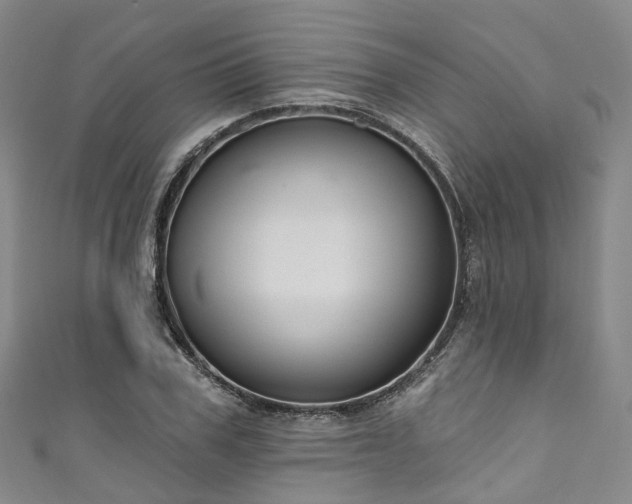 X0000111020979200906261537