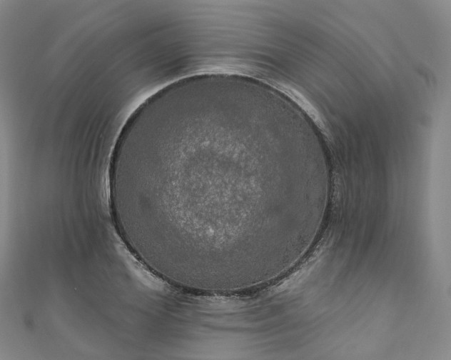 X0000111020980200906261537
