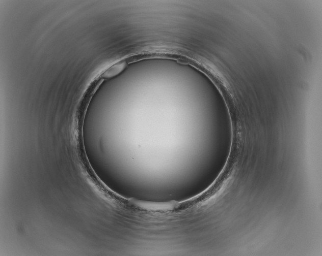 X0000111020981200906261537