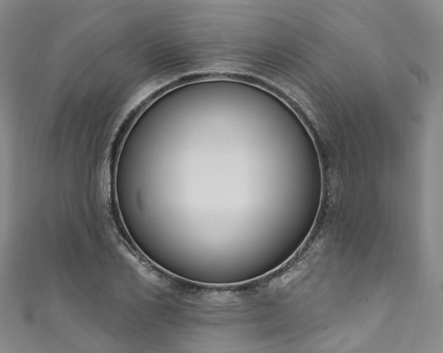 X0000111020982200906261537