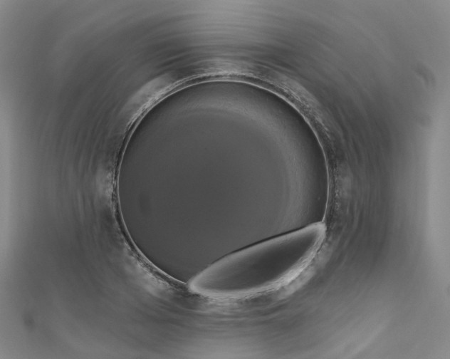 X0000111020985200906261537