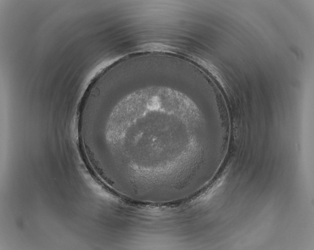 X0000111020987200906261537