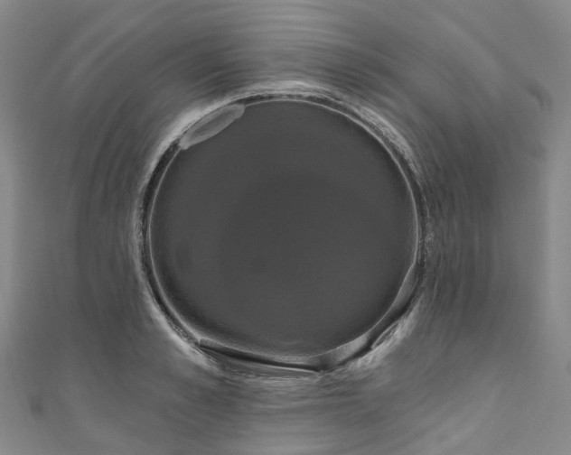 X0000111020989200906261537