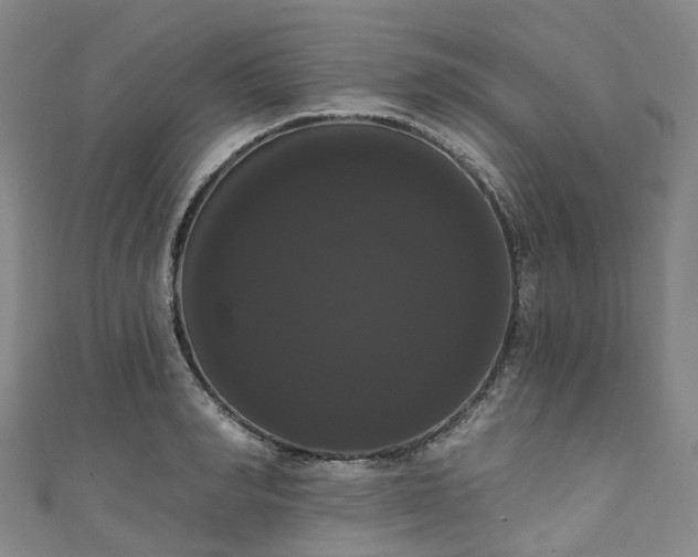 X0000111020990200906261537
