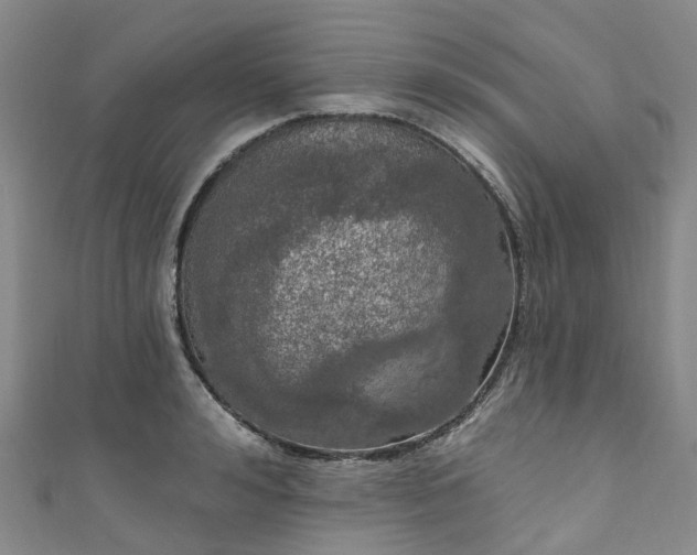 X0000111020992200906261537