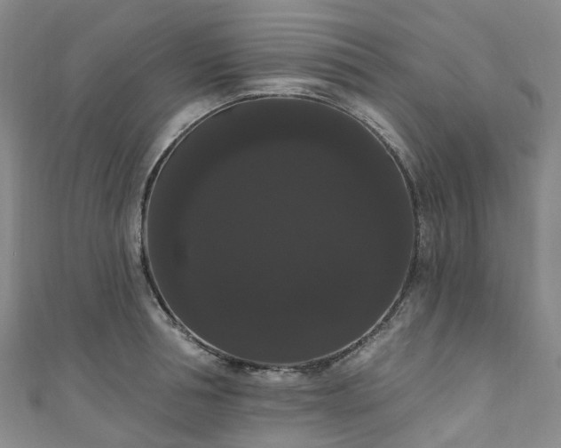 X0000111020994200906261537