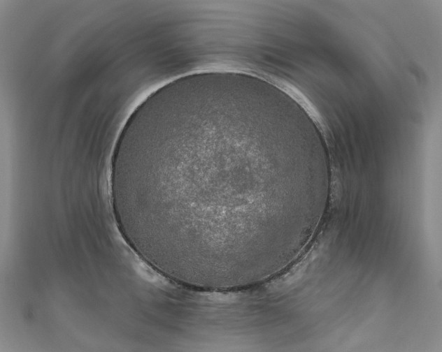 X0000111020996200906261537