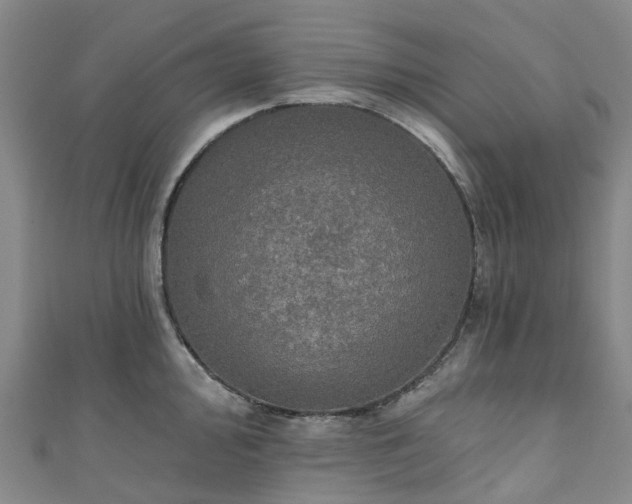 X0000111021000200906261537