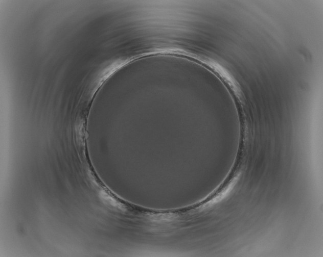 X0000111021001200906261537