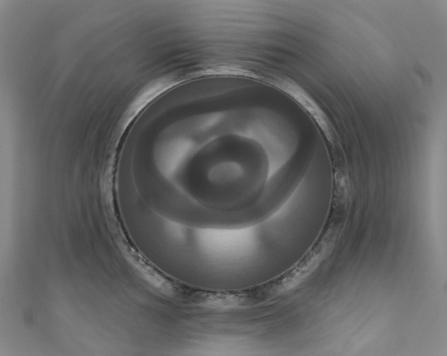 X0000111021002200906261537