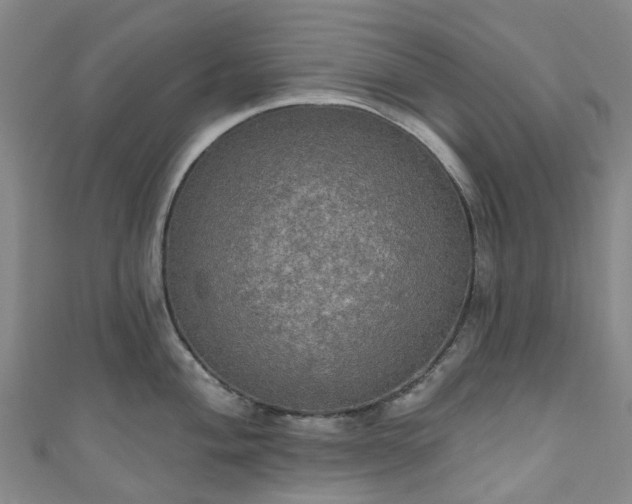 X0000111021004200906261537