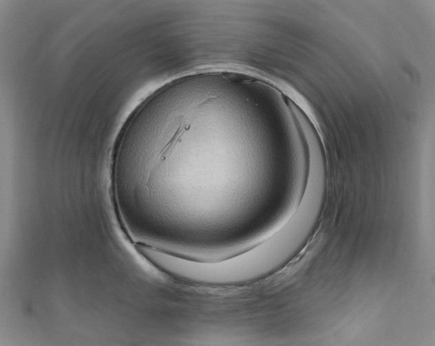 X0000111021005200906261537