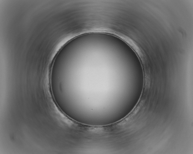 X0000111021006200906261537