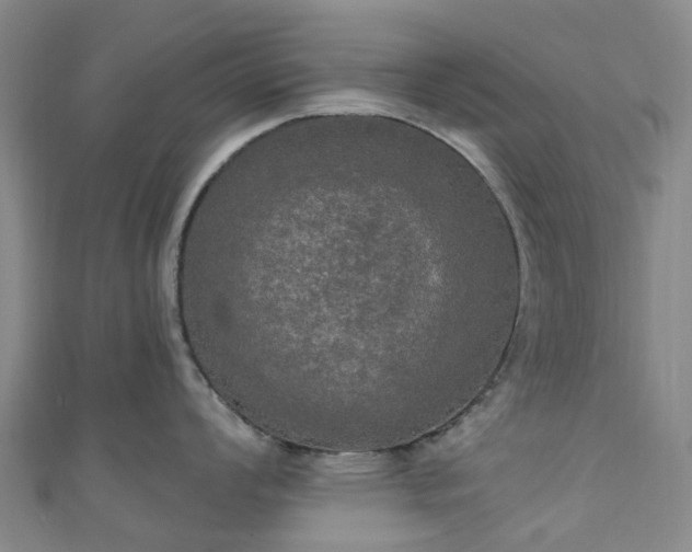 X0000111021008200906261536