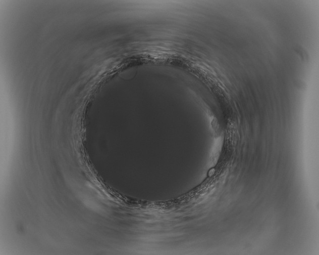 X0000111021009200906261536