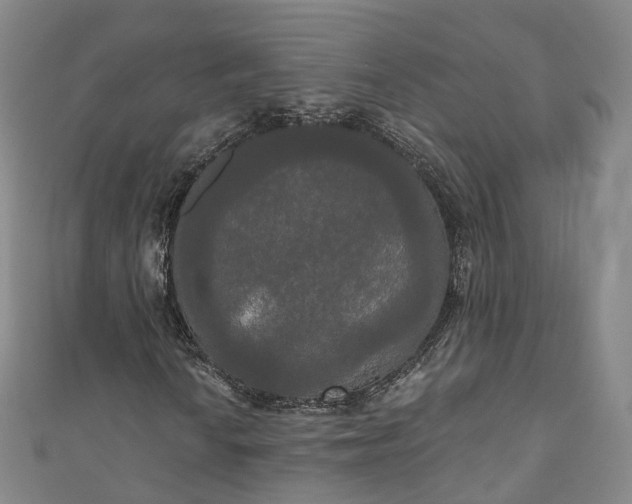 X0000111021010200906261536