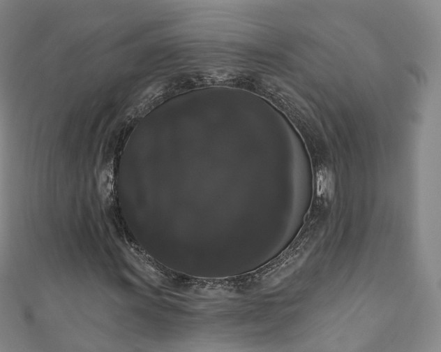 X0000111021011200906261536