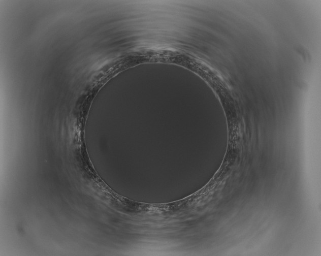 X0000111021013200906261536