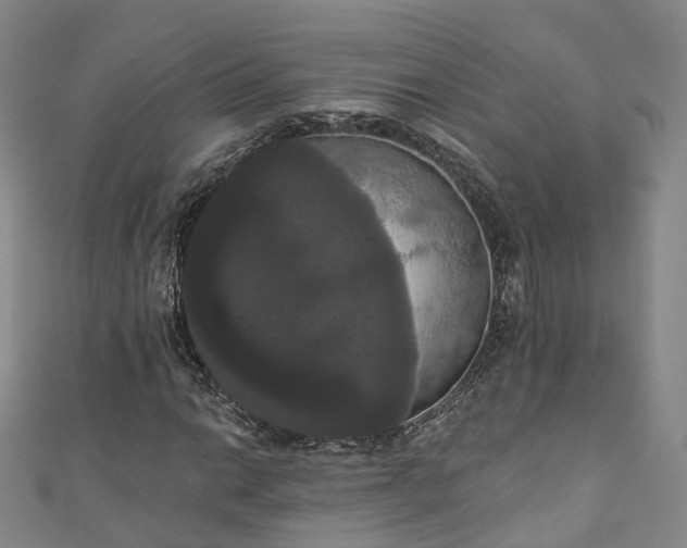 X0000111021014200906261536