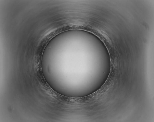 X0000111021015200906261536
